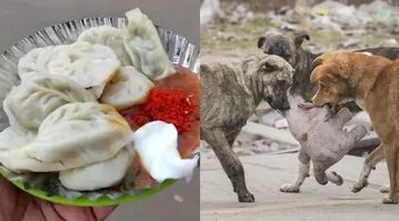 मोमोज की फैक्ट्री में मिला कुत्ते का काटा हुआ सिर। 60 किलो सड़ा हुआ चिकन जब्त।